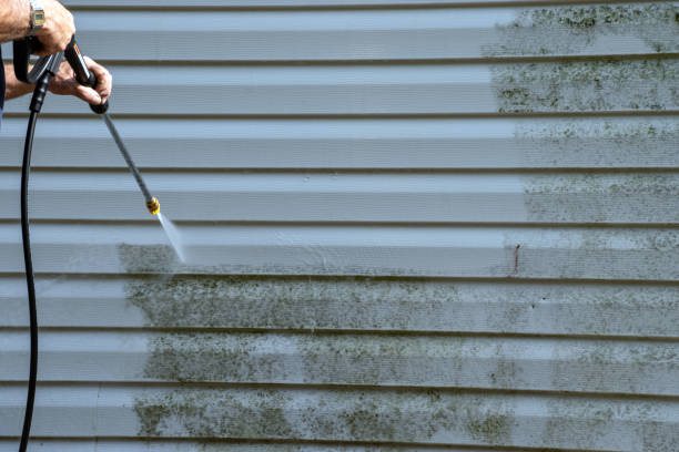 Affordable siding repair and maintenance services in Ocean City, NJ