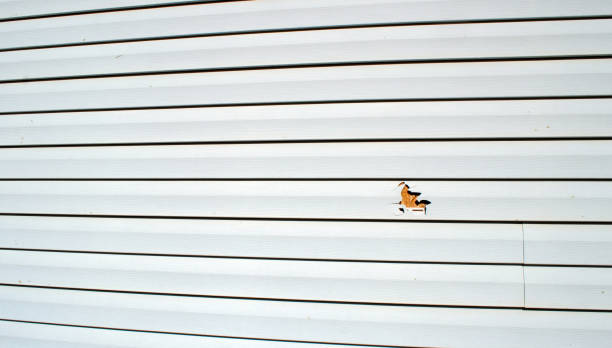 Best Storm Damage Siding Repair  in Ocean City, NJ