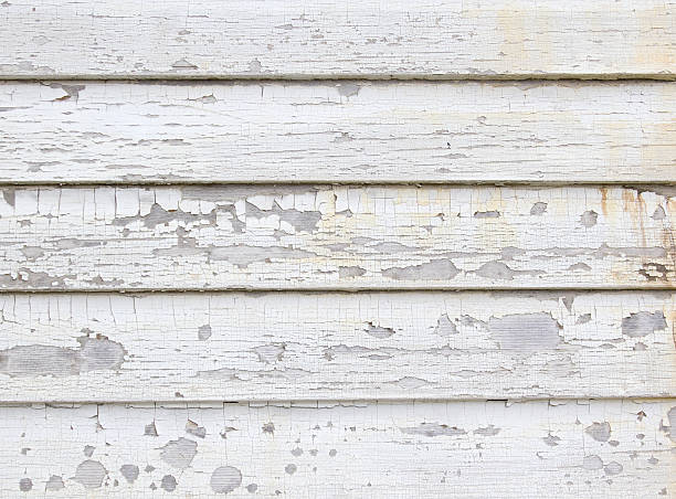 Best Historical Building Siding Restoration  in Ocean City, NJ