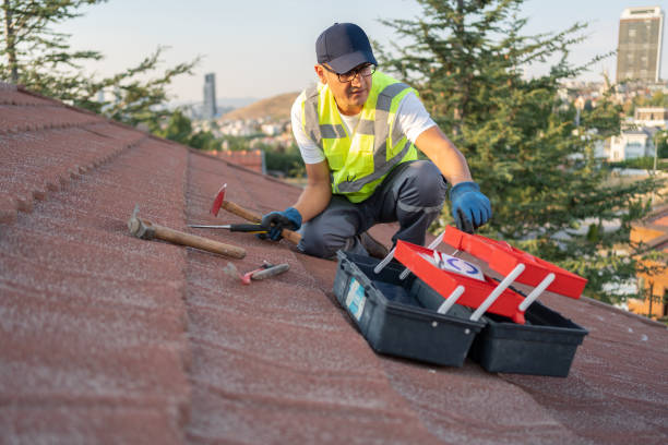Best Custom Siding Design  in Ocean City, NJ